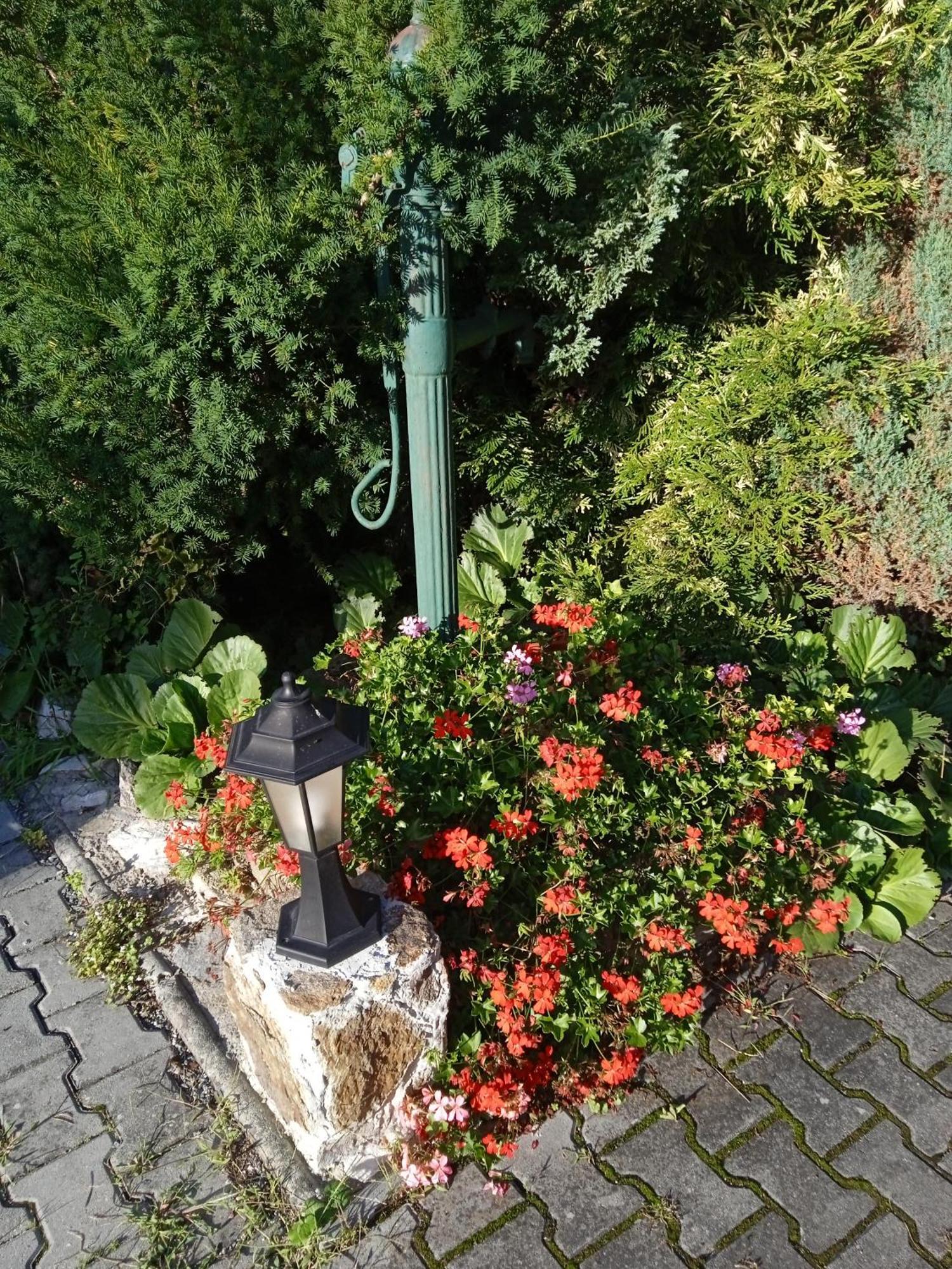 Penzion Kalina Tábor Exteriör bild
