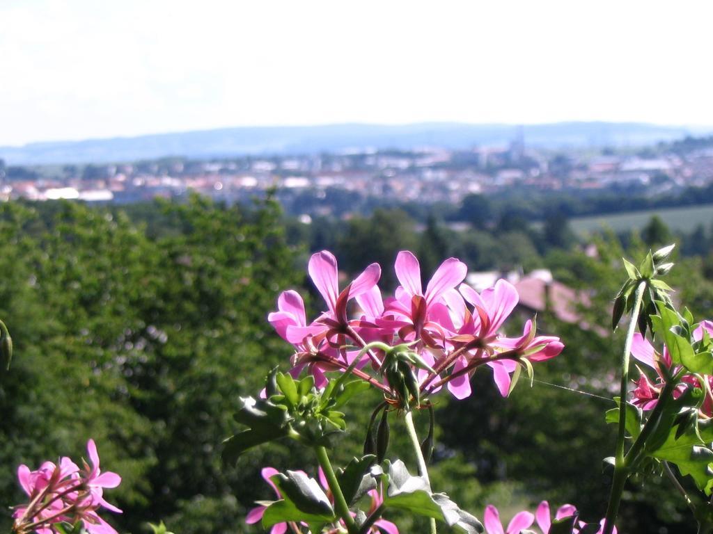 Penzion Kalina Tábor Rum bild